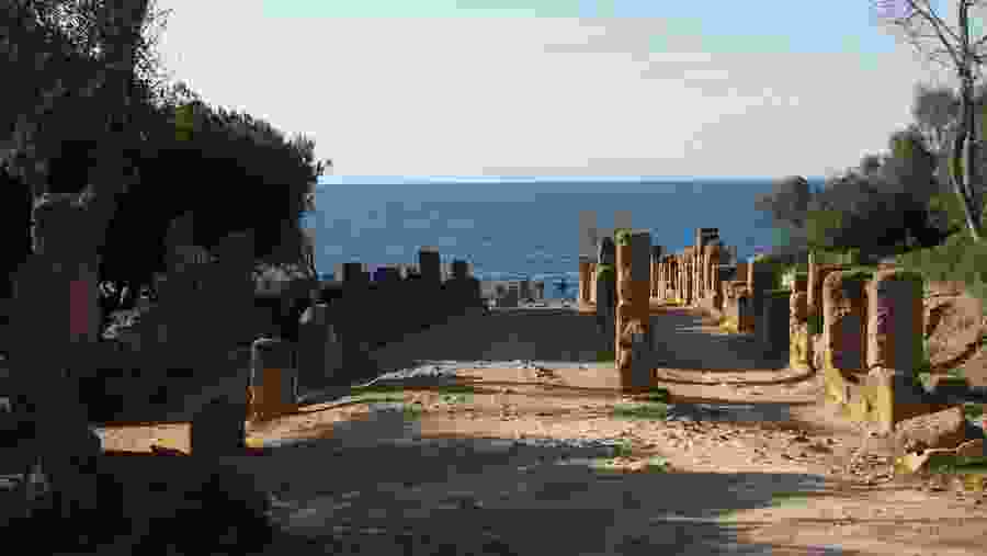 Tipaza