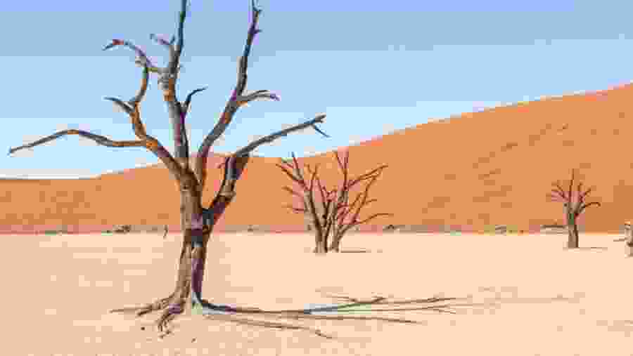 Namib Desert