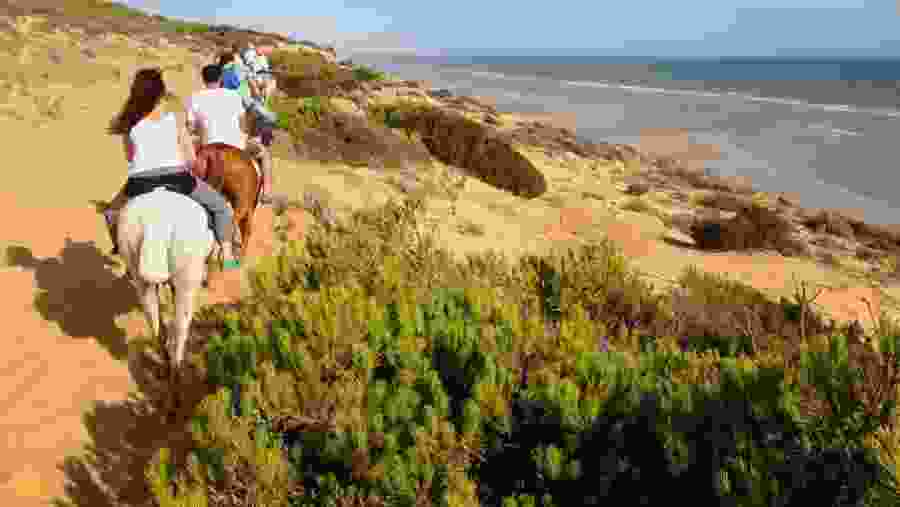 Horse Riding at the Donana National Park