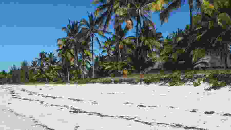 Kilwa Beach
