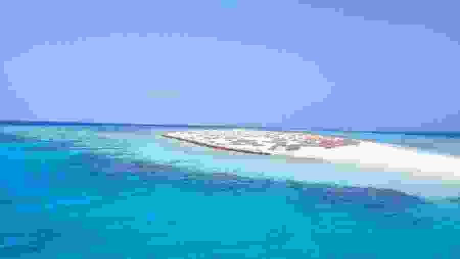 Wadi el Gemal Reserve