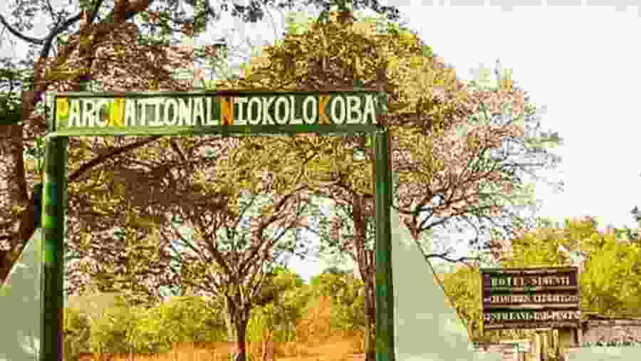 Niokolokoba National Park