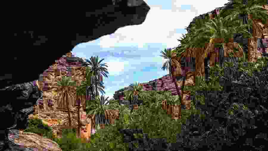 Scenic View Along The Way