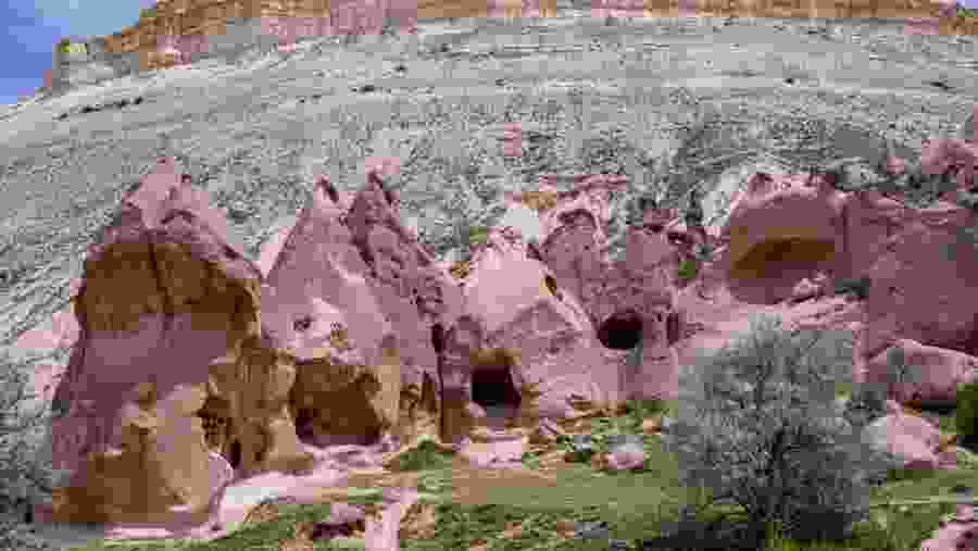 Rose Valley
