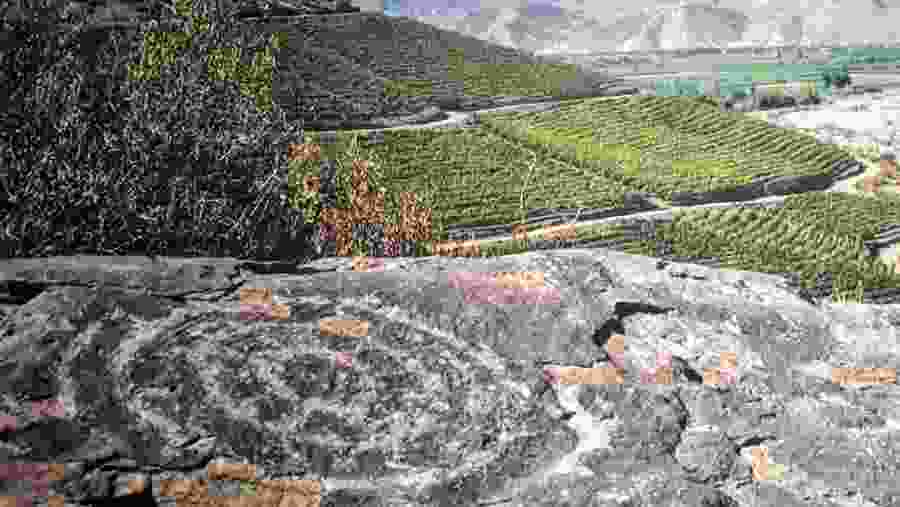 Admire the Scenic Countryside
