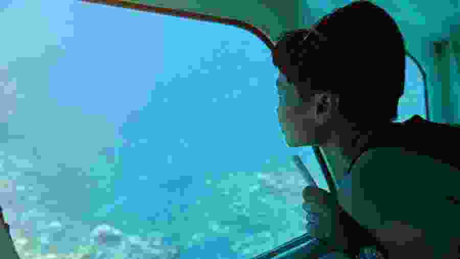 Traveller observing aquatic life