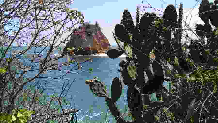 Las Tortuguita - Los Frailes