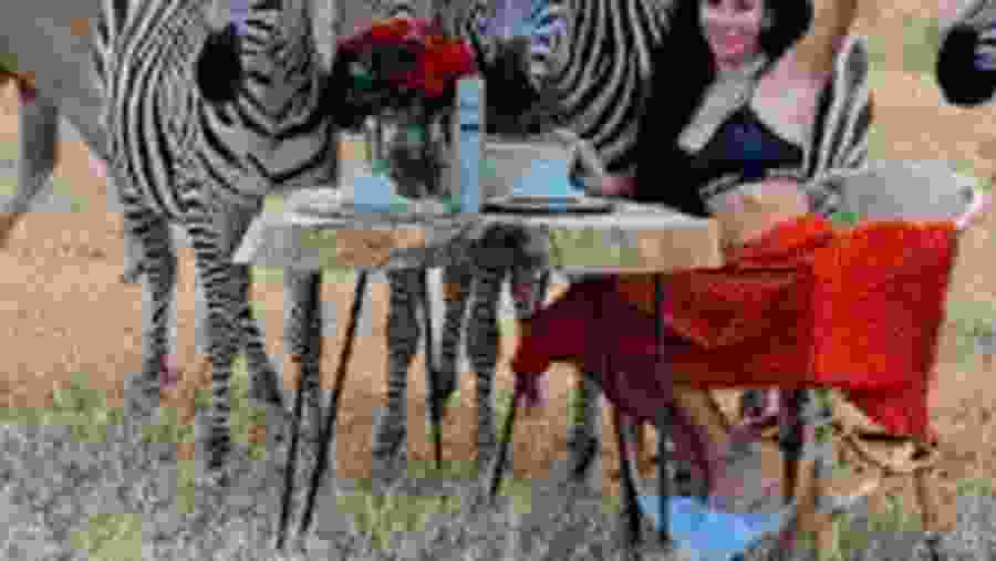 Witness the African wildlife