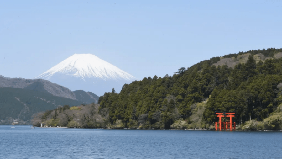 Fuji from Cedar Avenue (weather permitting)