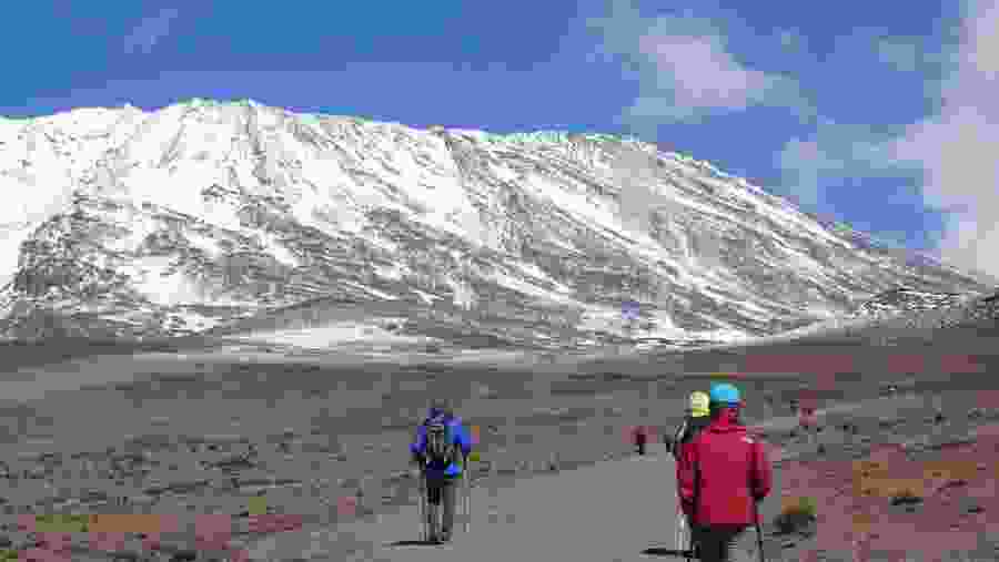 Trekking via the Machame Route