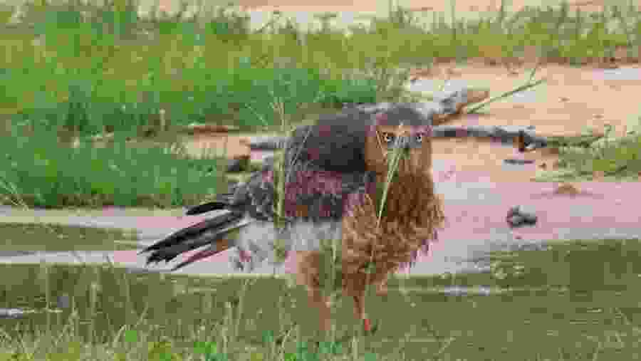 Witsand Nature Reserve