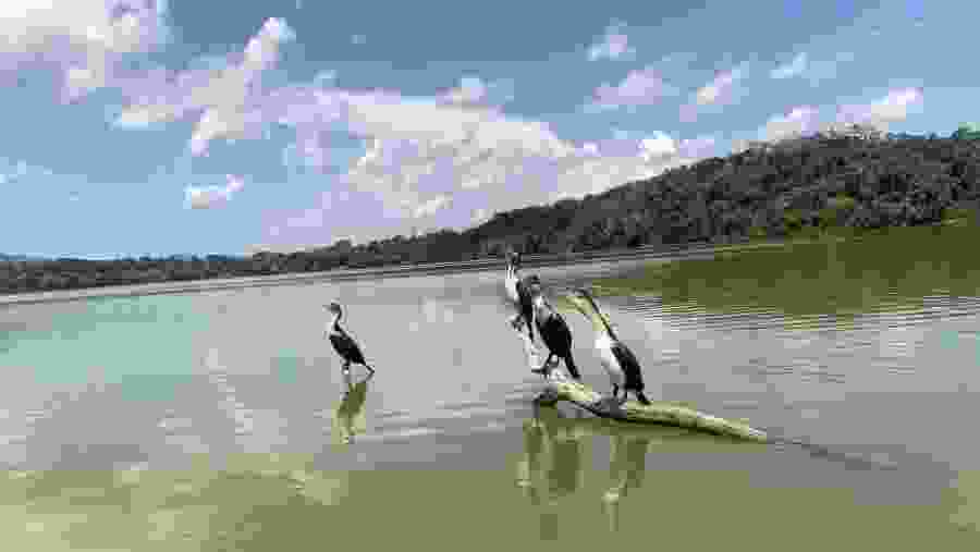 Lake Duluti, Arushi, Tanzania