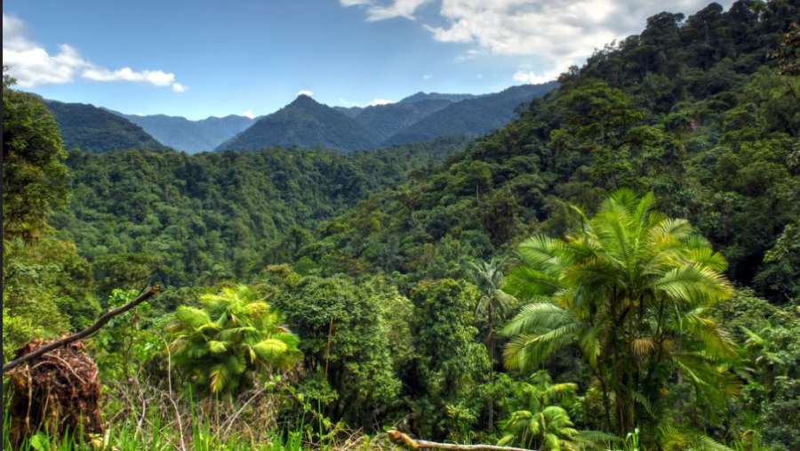 Mindo Nambillo Cloud forest reserve