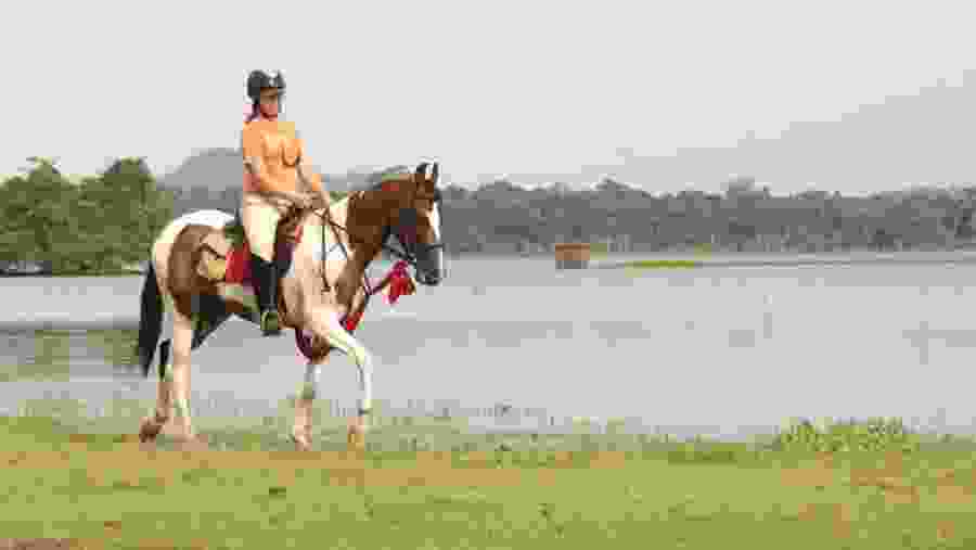 Horse Riding In Dambulla