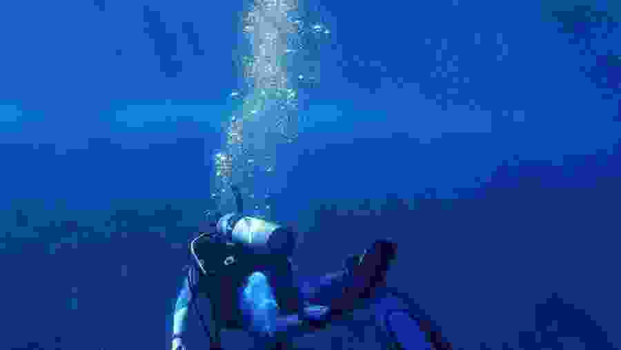 Scuba Diving In Mirissa