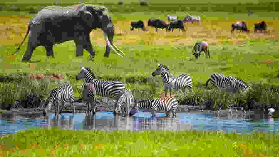 Lake Nakuru National Park