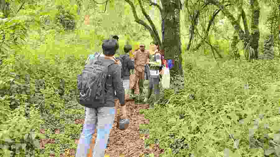 Bushiyi trail Back Track