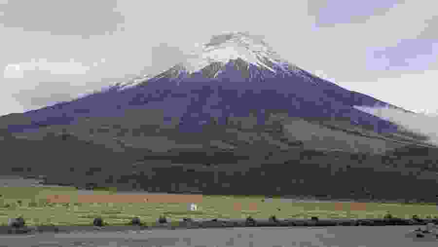 The views while transfer