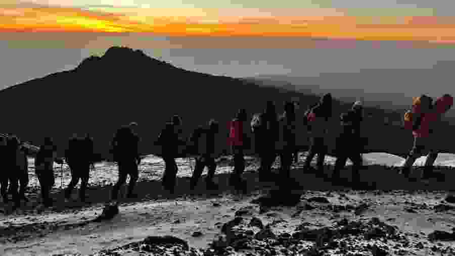 Lemosho Route Kilimanjaro Climb