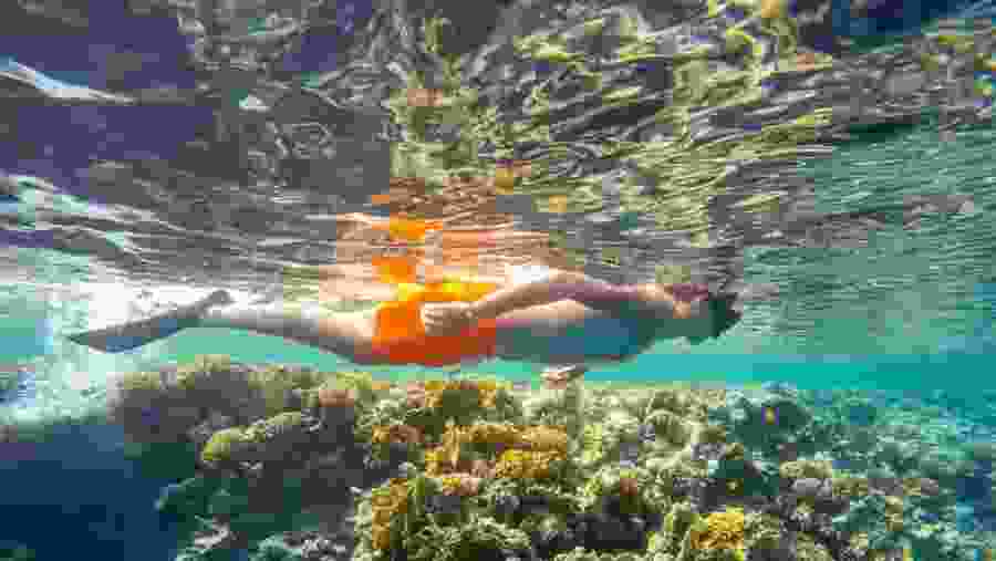 Travelers snorkeling in Marsá Mubārak