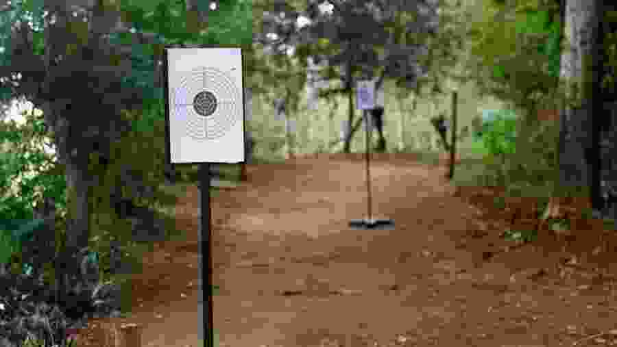 Air Rifle Shooting In Ella