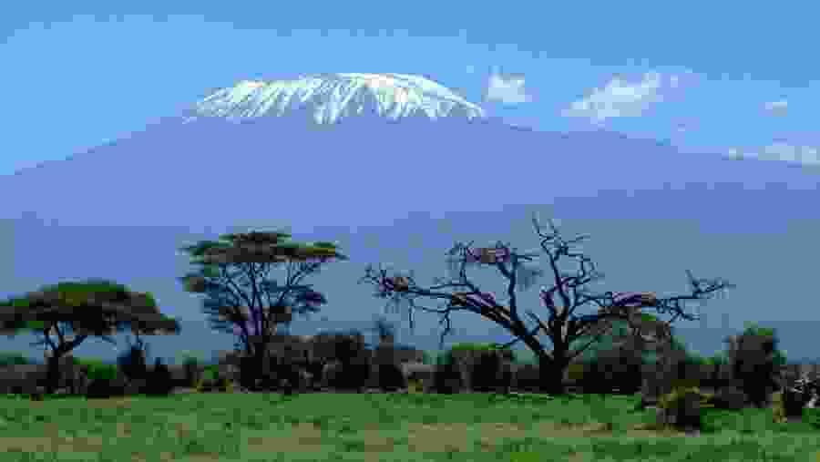 Hike at the scenic Mount Kilimanjaro