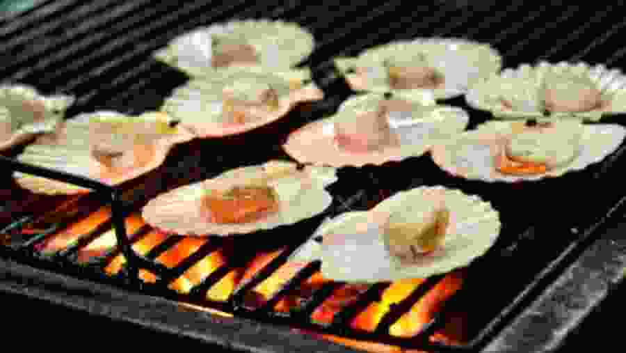 Street Foods of Saigon