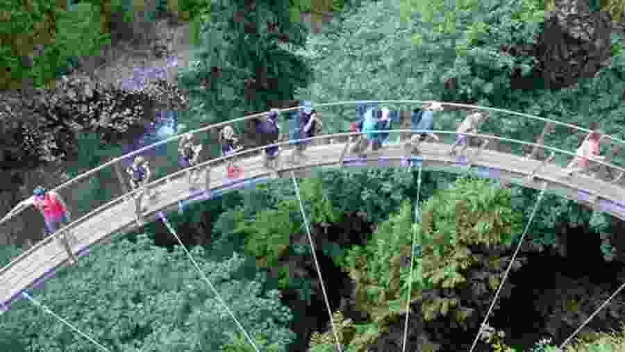 Travelers at the Capilano Suspension Bridge Park