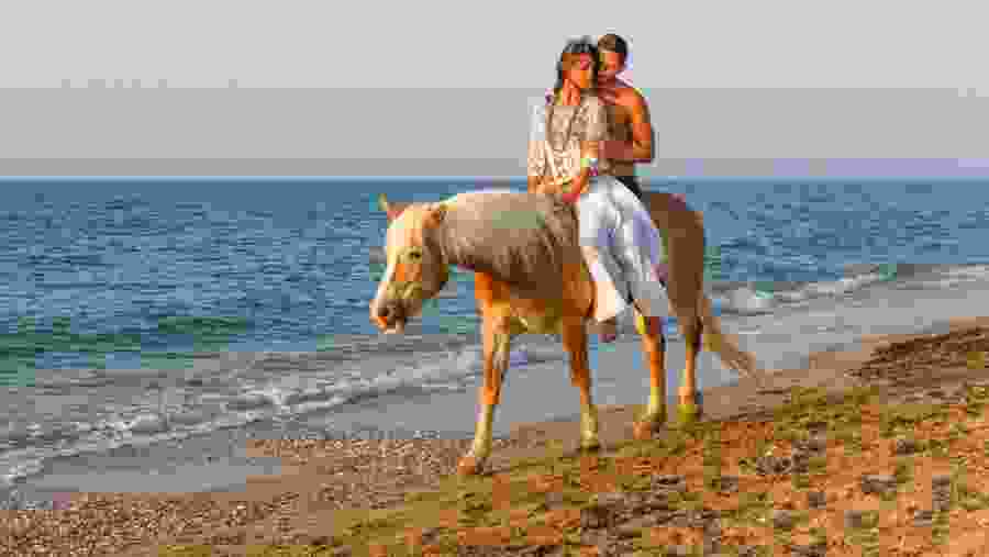 Horse riding along the sea