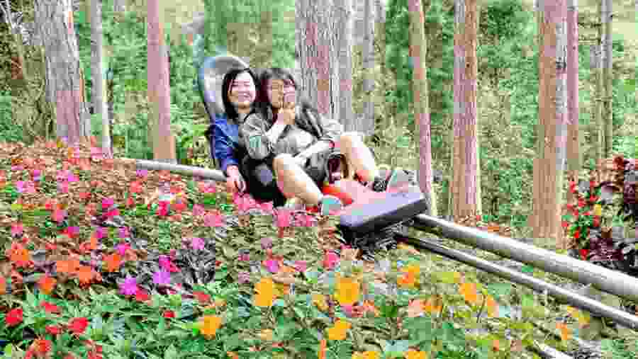 Fun at Alpine Coaster