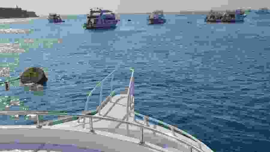 Venture to White Island