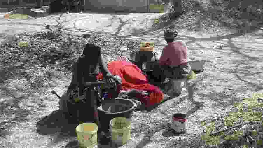 Local women Oyster harvesters