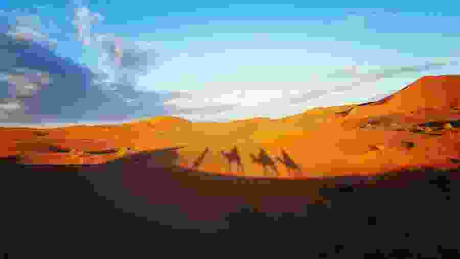 Go for a camel ride in the desert