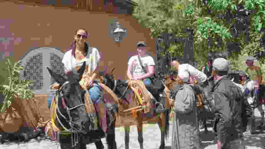 Ouirgane Mule trek