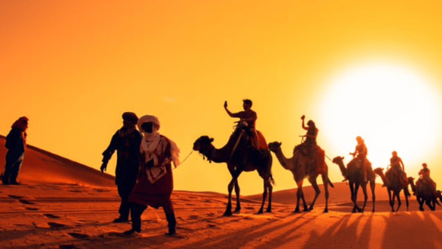 Desert Safari Standard