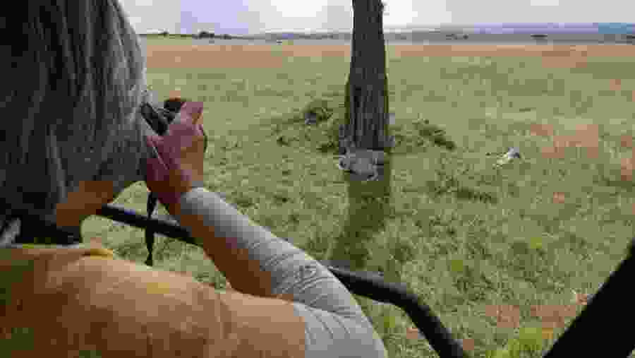 Tarangire National Park