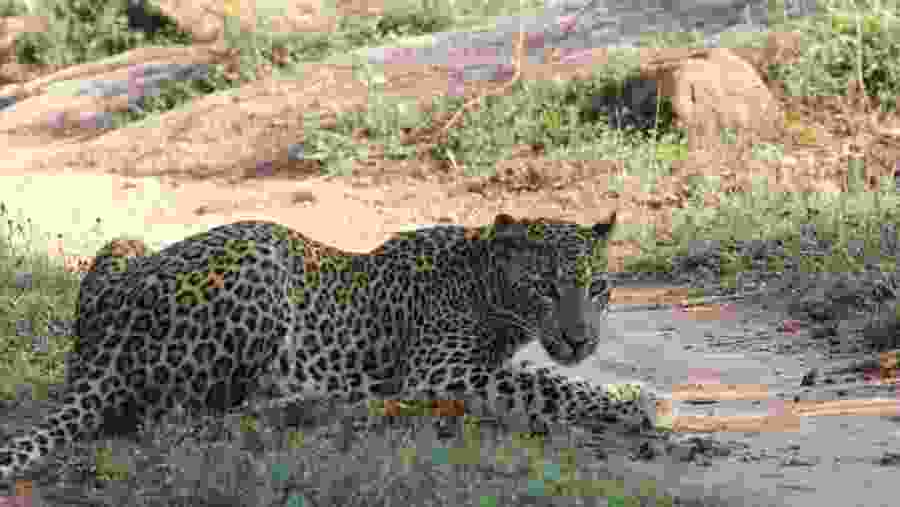 Take the Scenic Route