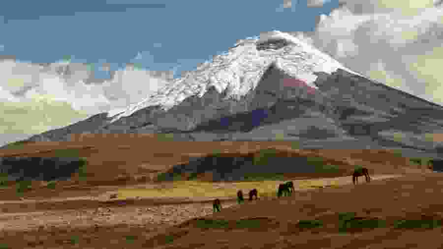 Cotopaxi Volcano 