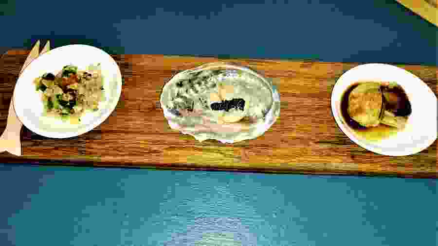 Abalone Farm Tour and Tasting