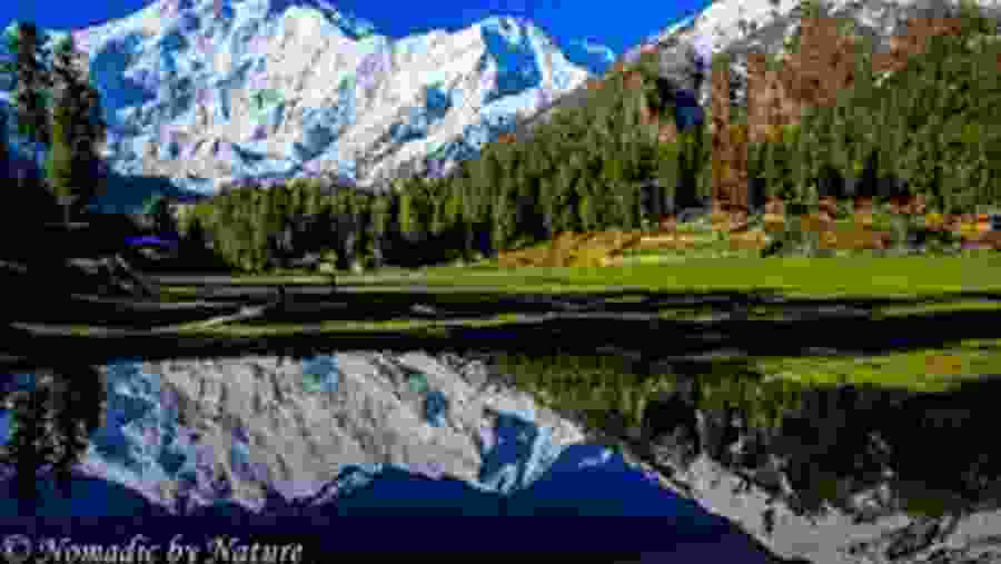 Fairy Meadows 
