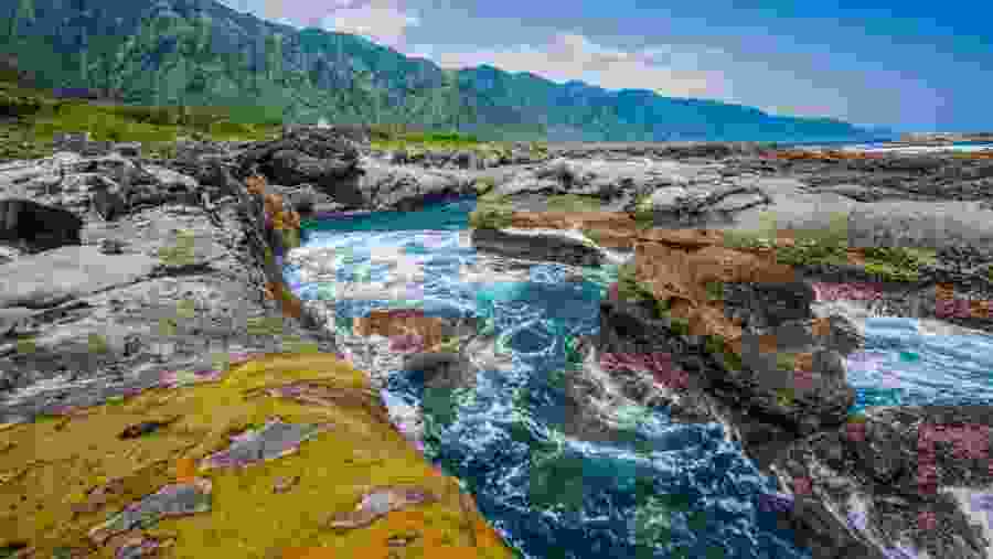 See the Beautiful Shitaiping