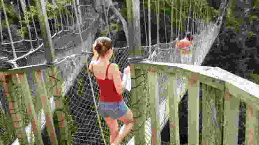 Tourist immersion in Benin - Togo - Ghana