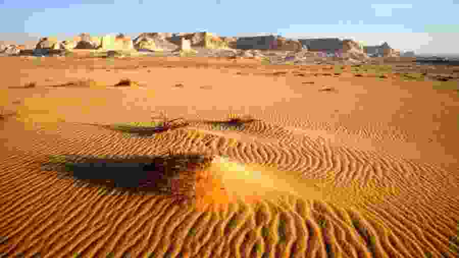 Western Desert