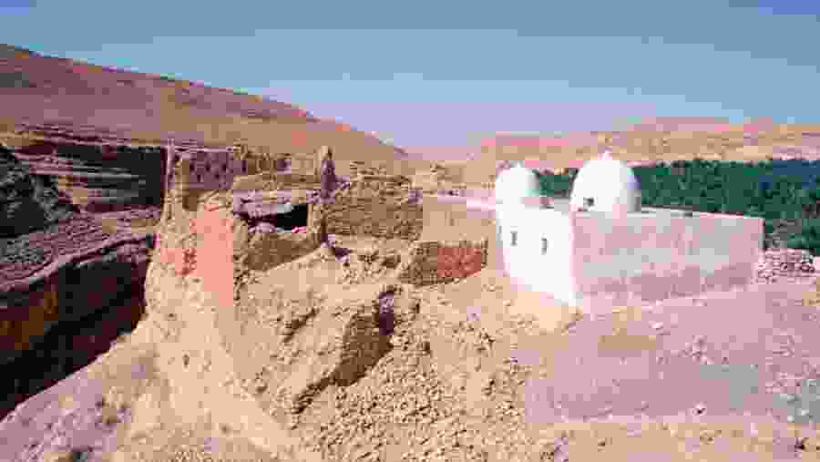 Midès Oasis