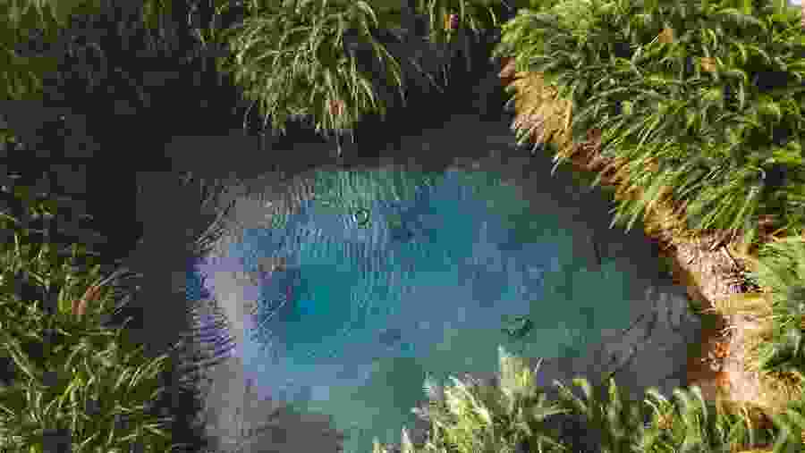 Chemka Hot Springs Tanzania