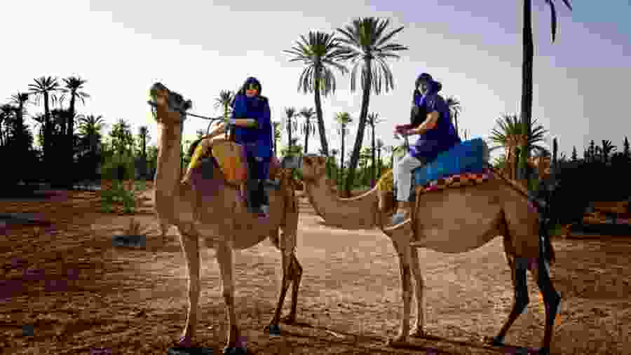 Camel Ride in the Palmeraie