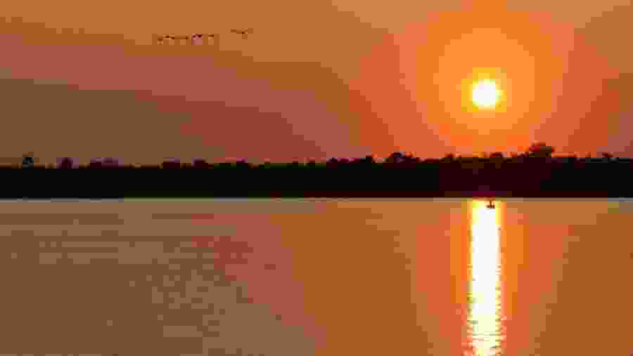 Enjoy sunset from the Zambezi River