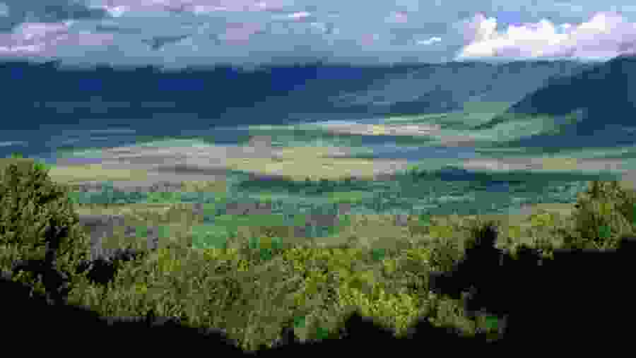 Bask in the scenic beauty of Ngorongoro Crater