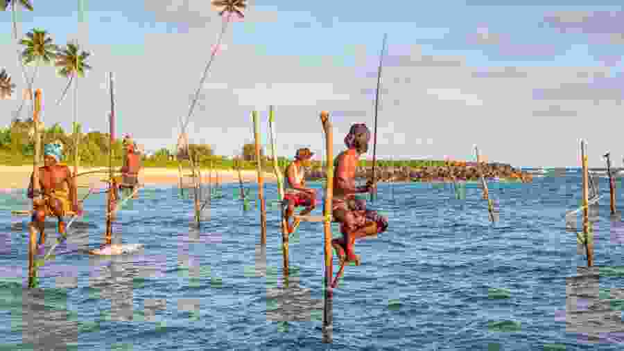 Stilt Fisherman