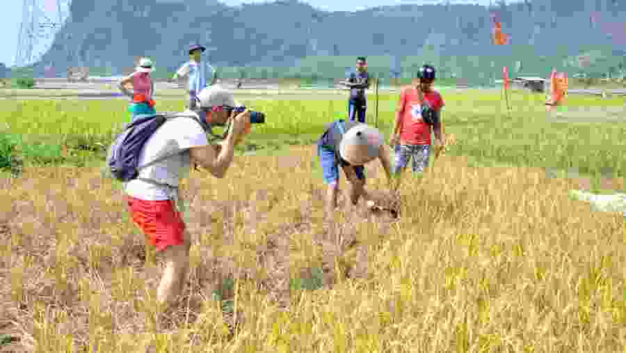 Taking Pictures in the Farm